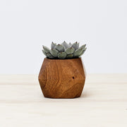 QA Test - Adia Planter
