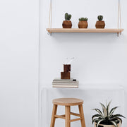 QA Test - Adia Planter