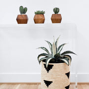 QA Test - Adia Planter