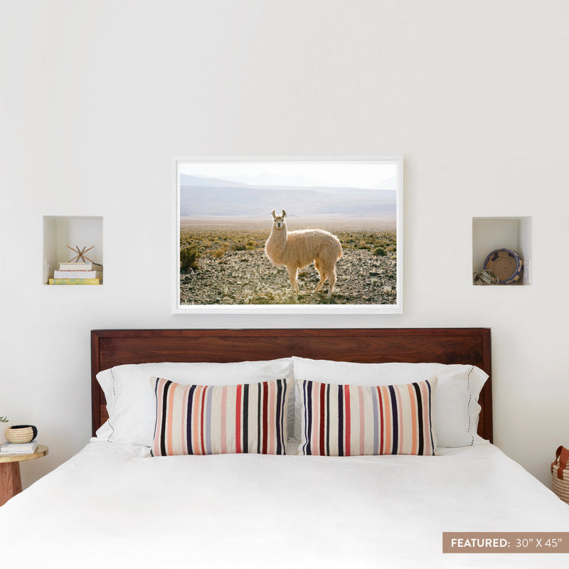 white-frame
