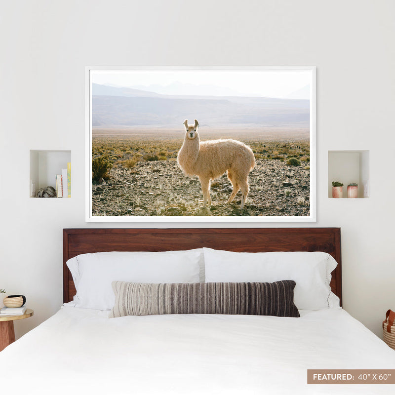 white-frame
