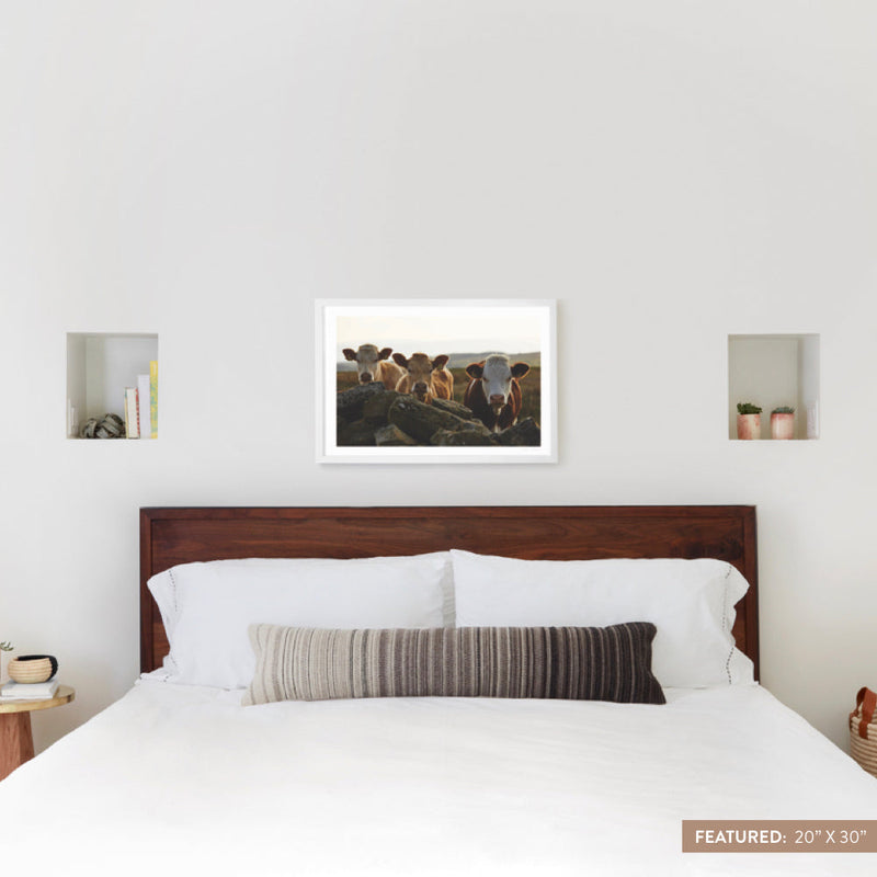 white-frame