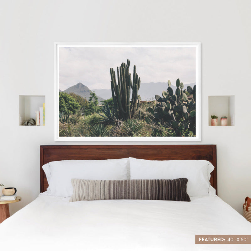 white-frame
