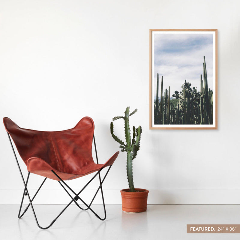 natural-frame