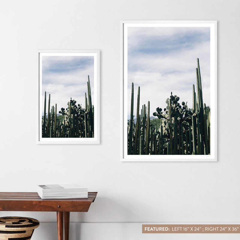 white-frame