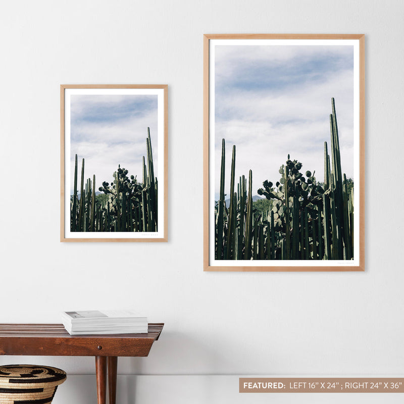 natural-frame