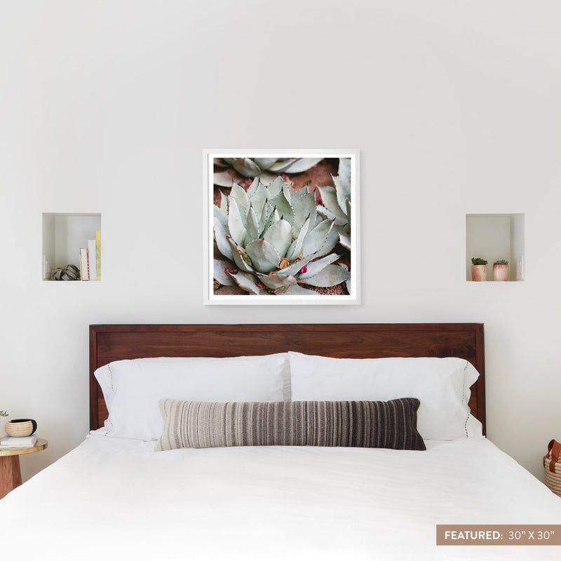 white-frame