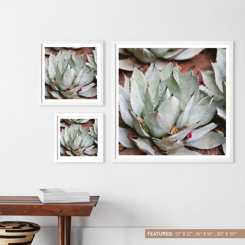 white-frame