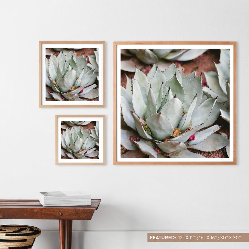 natural-frame