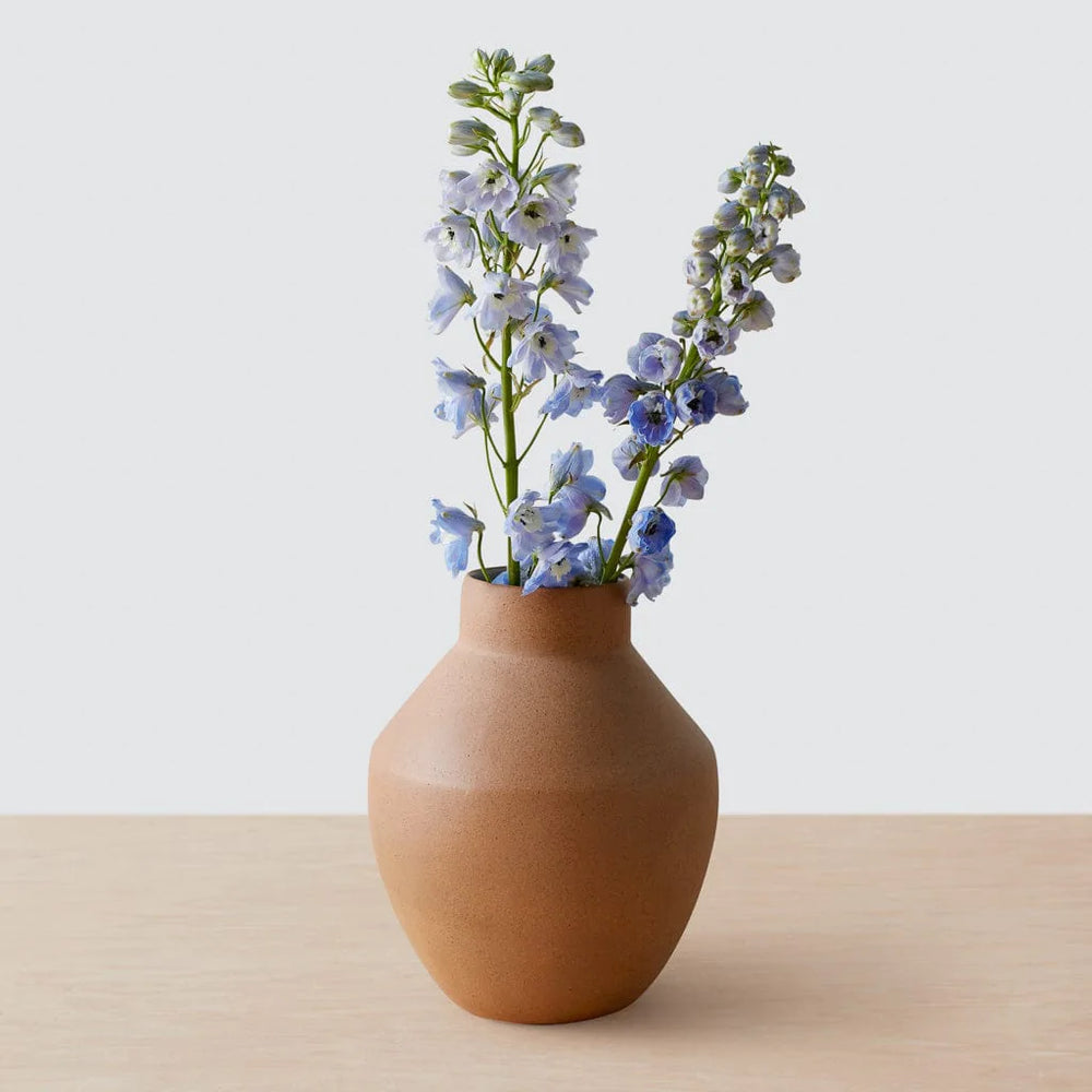 Càrdenas Vase