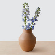Càrdenas Vase