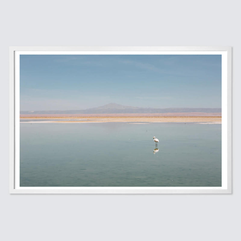 white-frame