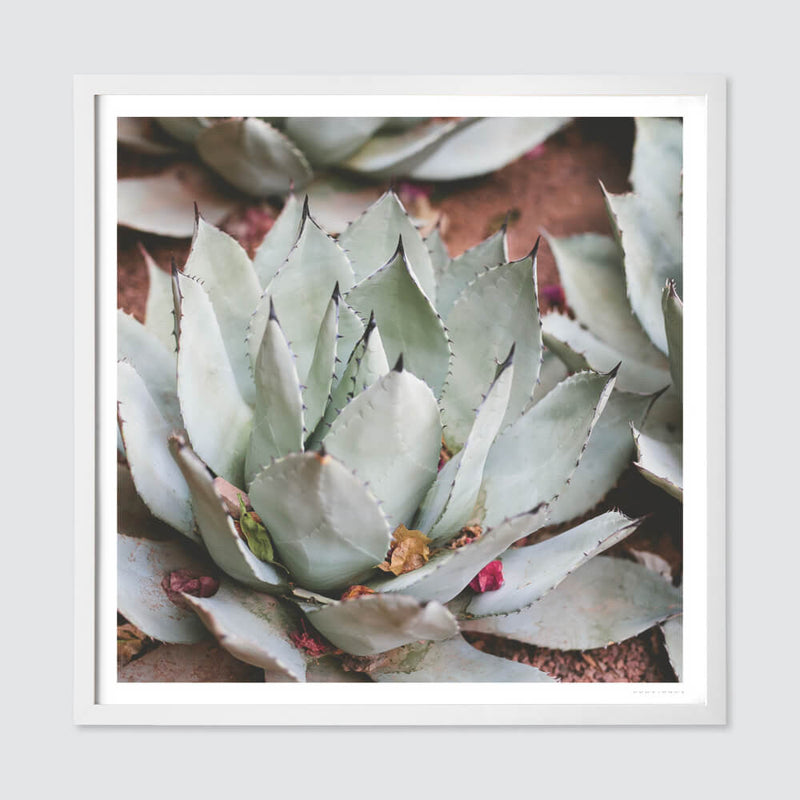 white-frame
