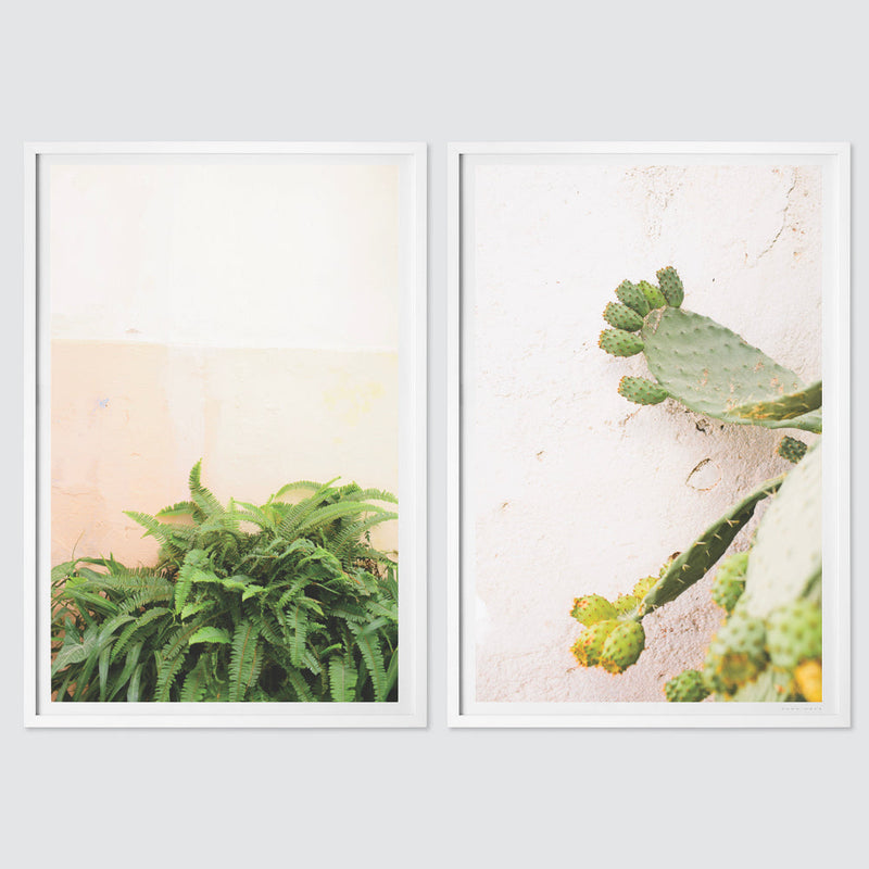 white-frame