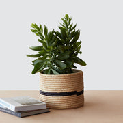 Neema Table Basket