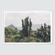 white-frame