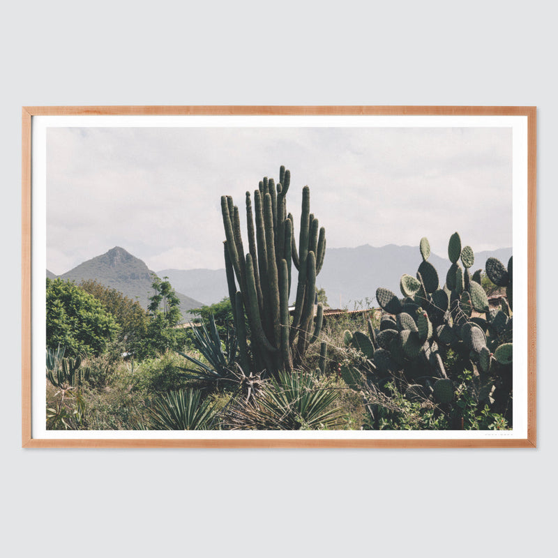 natural-frame