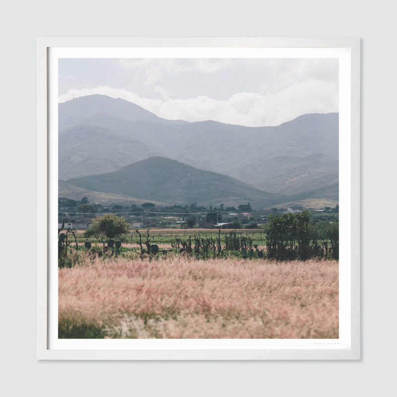 white-frame