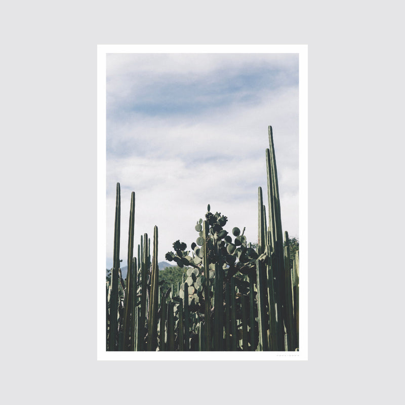 no-frame
