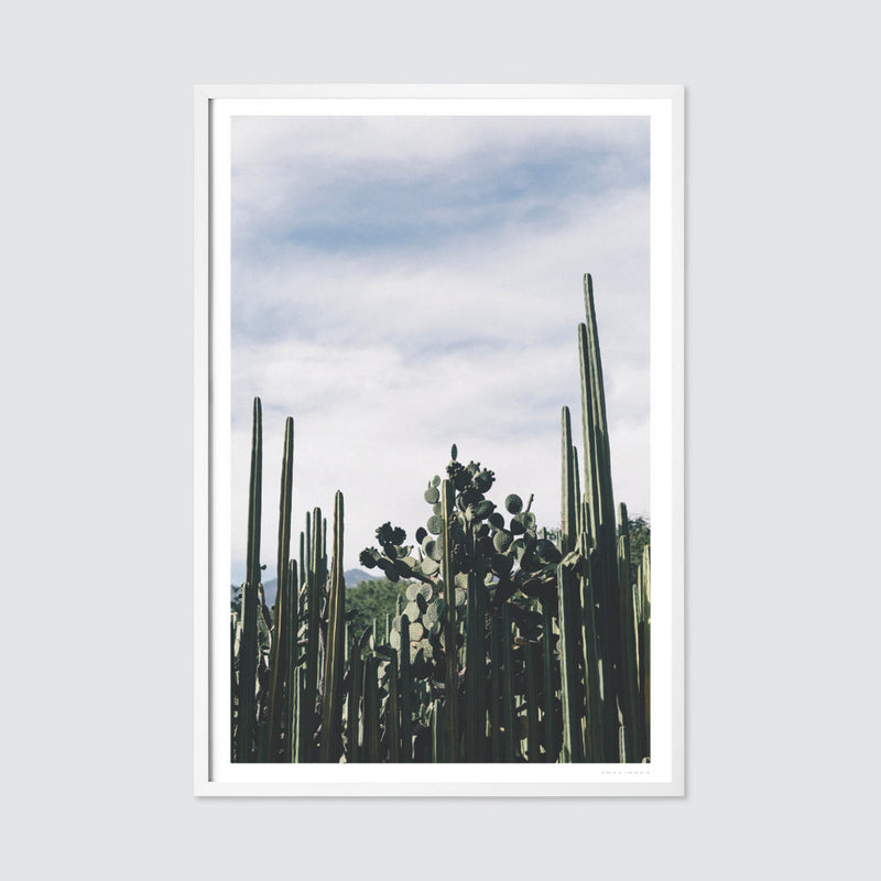 white-frame