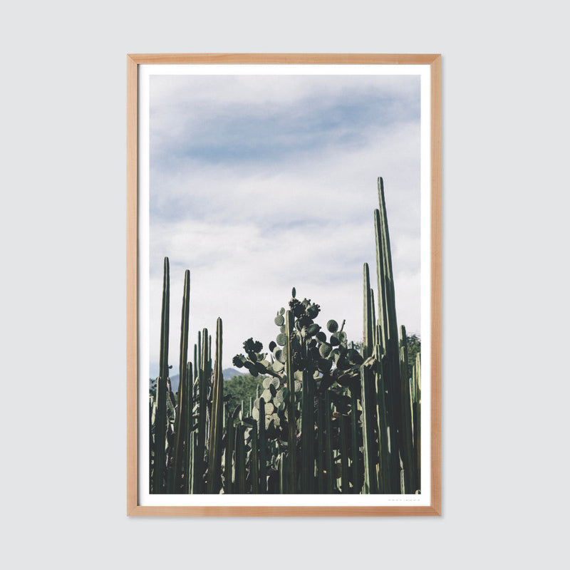 natural-frame